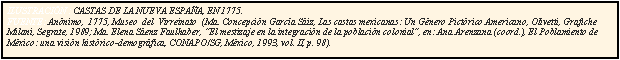 Cuadro de texto: ILUSTRACI�N : CASTAS DE LA NUEVA ESPA�A, EN 1775.                                                                                                                                                          FUENTE: An�nimo,  1775, Museo  del  Virreinato  (Ma. Concepci�n Garc�a S�iz, Las castas mexicanas: Un G�nero Pict�rico Americano, Olivetti, Grafiche Milani, Segrate, 1989; Ma. Elena S�enz Faulhaber, �El mestizaje en la integraci�n de la poblaci�n colonial�, en: Ana Arenzana (coord.), El Poblamiento de M�xico: una visi�n hist�rico-demogr�fica, CONAPO/SG, M�xico, 1993, vol. II, p. 98).